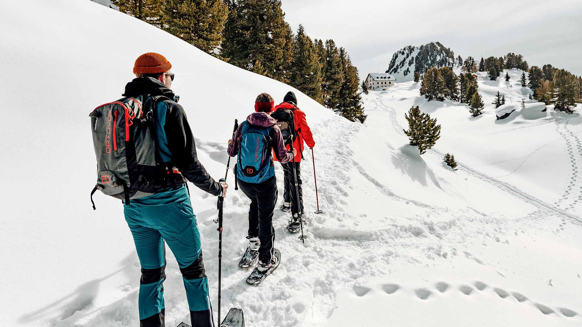 Winter Adventures: Exploring Snow Trails and Alpine Scenery